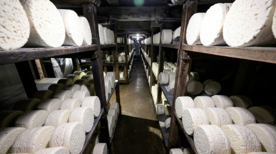 Le roquefort c&eacute;l&egrave;bre 100 ans d'appellation, esp&eacute;rant relancer des ventes en berne