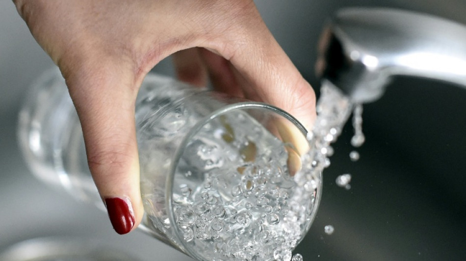 "Polluants &eacute;ternels": les pistes de l'Anses pour mieux les contr&ocirc;ler