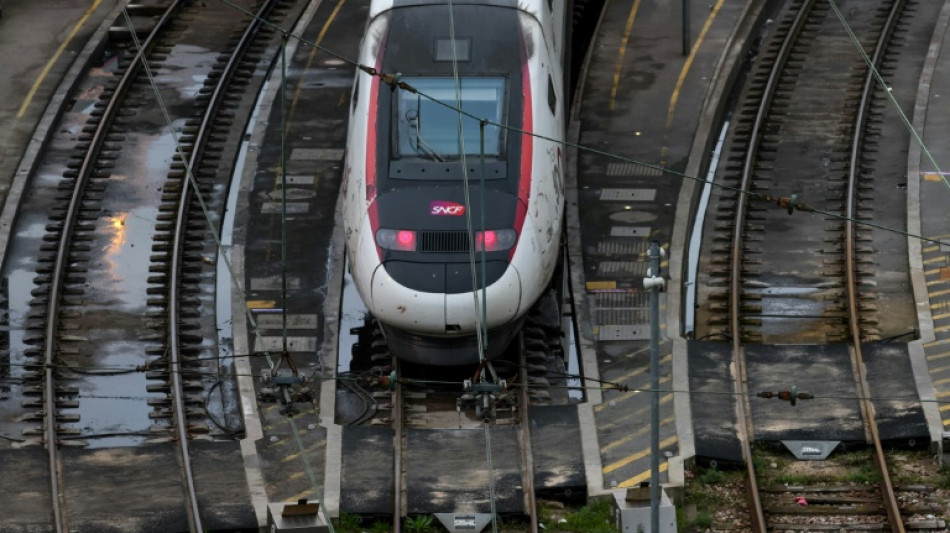 Gr&egrave;ve: la SNCF propose une compensation aux clients touch&eacute;s ce weekend