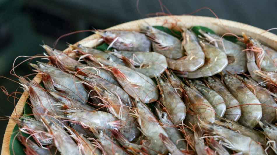 Taiwan eyes fresh diplomatic ties with Honduras 