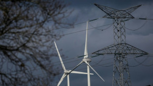 Electricit&eacute;: le risque sur la s&eacute;curit&eacute; d'approvisionnement sera "faible" cet hiver (RTE)