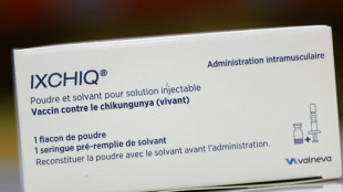 Vaccin contre le chikungunya: 4 nouveaux cas non graves d'effets ind&eacute;sirables, selon l'agence du m&eacute;dicament