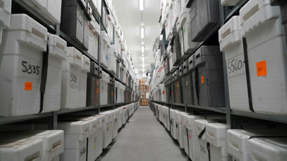 Dans une biblioth&egrave;que r&eacute;frig&eacute;r&eacute;e, de la glace ancestrale pour mieux comprendre le climat