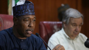 Mindestens 63 Tote bei Dschihadisten-Angriff in Nigeria