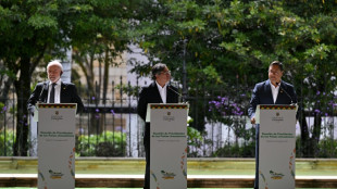 Colombia, Brasil y Bolivia unen fuerzas por la Amazon&iacute;a de cara a la COP30 