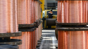En Zambie, promesses et p&eacute;rils de la ru&eacute;e vers l'"or rouge"