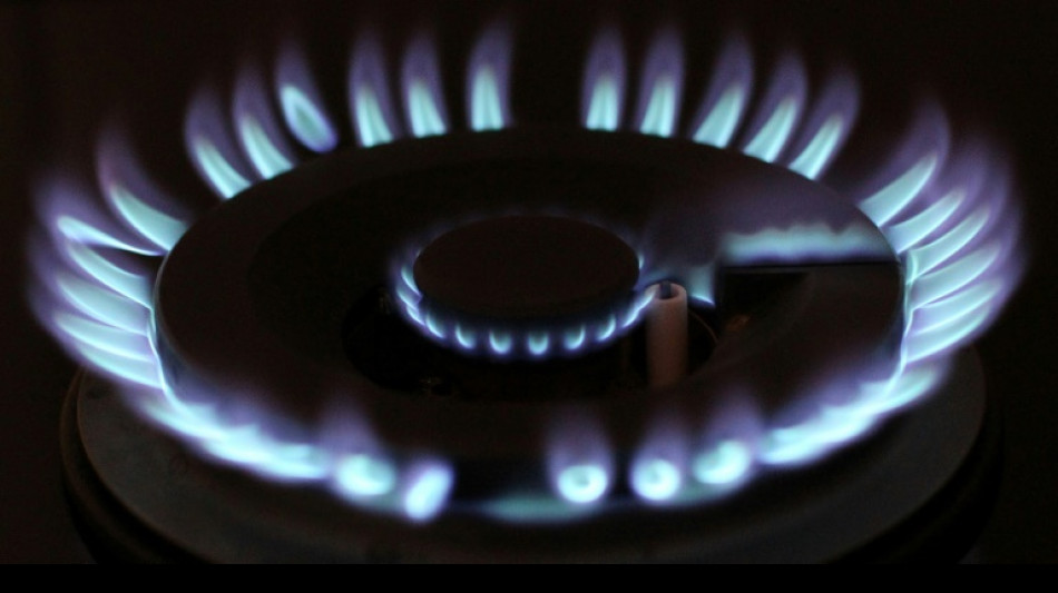 Steuerzahlerbund begr&uuml;&szlig;t Energiesparpl&auml;ne Habecks