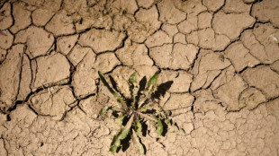 Fehlende Niederschl&auml;ge: Wasserspeicherung in Deutschland nimmt ab