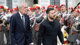 En visite en Autriche, Zelensky &eacute;voque l'achat d'armes am&eacute;ricaines