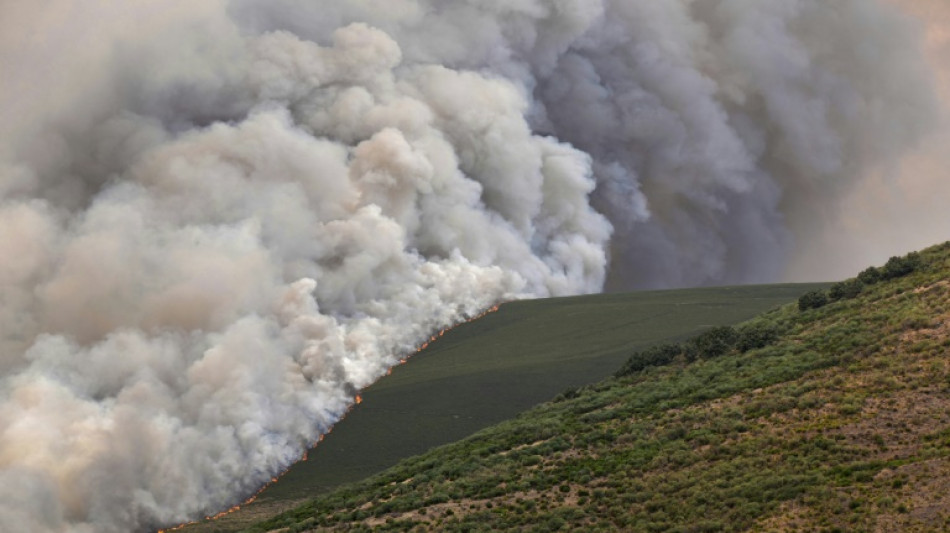 Les incendies ont d&eacute;j&agrave; ravag&eacute; 343.000 hectares en 2025 en Espagne, un nouveau record