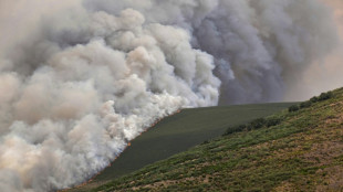 Les incendies ont d&eacute;j&agrave; ravag&eacute; 343.000 hectares en 2025 en Espagne, un nouveau record
