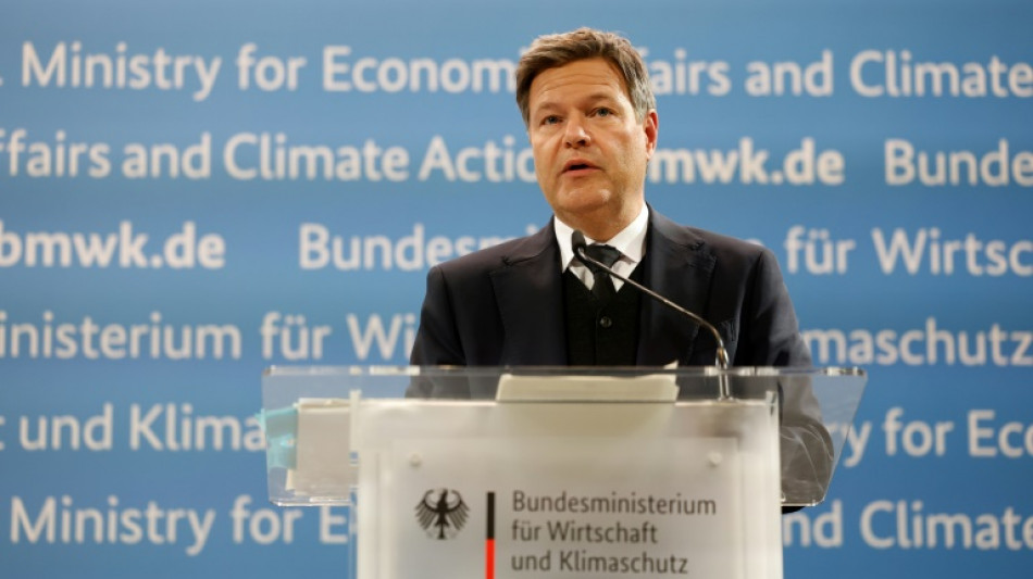 Allemagne: le gouvernement abaisse &agrave; 0,3% sa pr&eacute;vision de croissance pour 2025