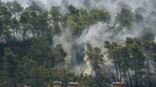 Dans l'Aude, m&eacute;t&eacute;o favorable pour les pompiers qui luttent encore contre le feu