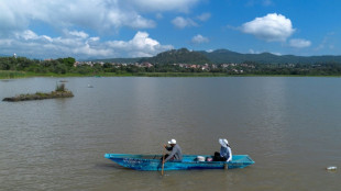 Ind&iacute;genas y cient&iacute;ficos se unen en M&eacute;xico para salvar a un anfibio considerado un elixir