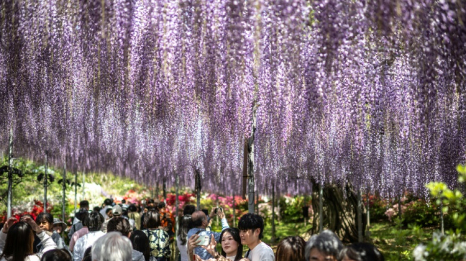 Inflation, hotel prices curtail Japanese 'Golden Week' travels
