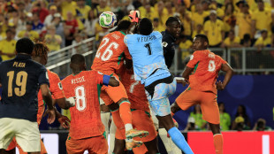 Mondiali, Costa d'Avorio-Ecuador 1-0