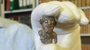 Au Danemark, la d&eacute;couverte d'un premier "portrait" d'un Viking