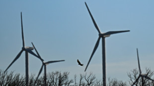Oiseaux prot&eacute;g&eacute;s: la justice ordonne l'arr&ecirc;t temporaire du parc &eacute;olien d'Aumelas dans l'H&eacute;rault