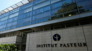 Dans l'intestin, des cellules jouent un r&ocirc;le durable contre les infections