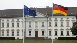 Steinmeier verteidigt hohe Kosten f&uuml;r Schloss Bellevue