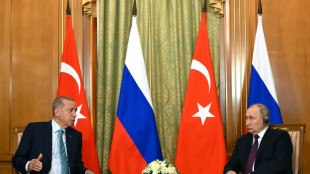 Putin says free grain exports to Africa to begin in 'weeks'