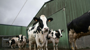 Agrarminister Rainer sichert Milchbauern Unterst&uuml;tzung ohne Markteingriff zu