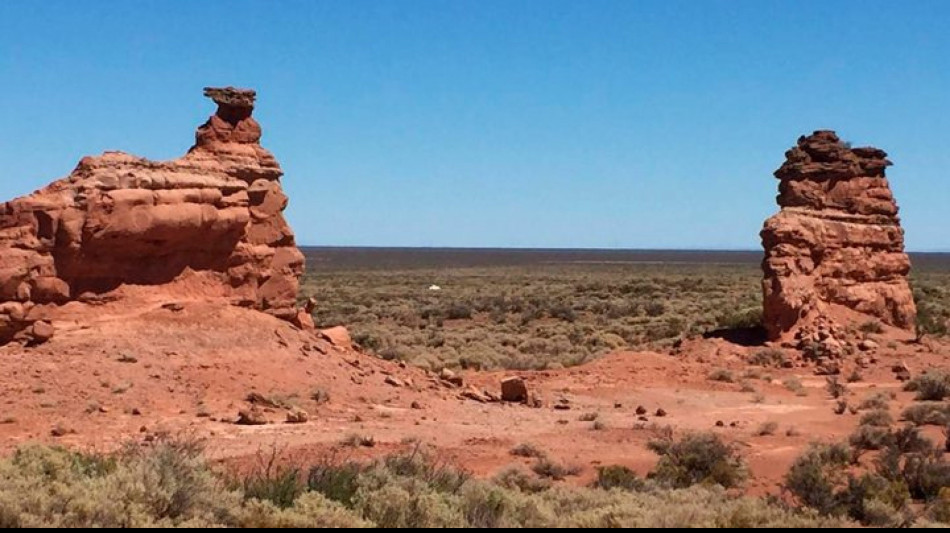 Ritrovato in Argentina il pi&ugrave; piccolo dinosauro del Sud America