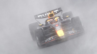 F1: au Br&eacute;sil, Verstappen renoue avec la victoire devant les Alpine apr&egrave;s une course folle