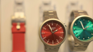 US tariffs take big bite out of Swiss exports