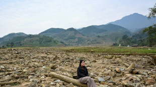 Vietnam village starts over with climate defences after landslide