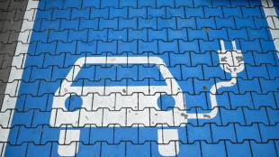 Rekord: Anteil von E-Autos an Neuzulassungen steigt auf 34,5 Prozent 