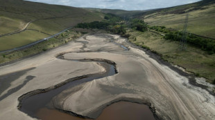 Le nord de l&rsquo;Europe frapp&eacute; par une s&eacute;cheresse exceptionnelle