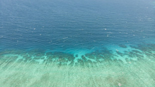 Le lagon de Mayotte, tr&eacute;sor mondial, endommag&eacute; par Chido