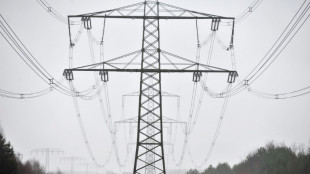 Tausende Berliner nach Brandanschlag auf Hochspannungsmasten weiter ohne Strom