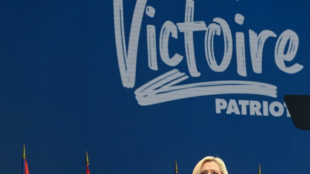 Auf Einladung von Le Pen: Treffen rechtspopulistischer Politiker in Frankreich