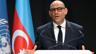 COP29: la bataille financi&egrave;re s'enlise avant le G20 et l'arriv&eacute;e des ministres