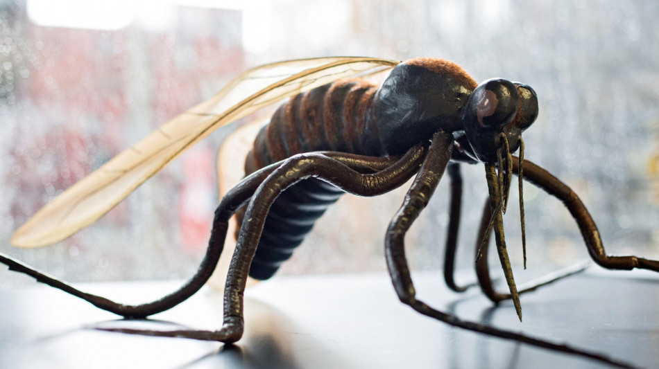 Iss, in Italia i casi West Nile aumentati da 173 a 275