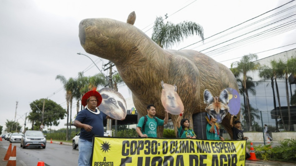 Antes de la COP30, Brasil y otros pa&iacute;ses acuerdan cuadruplicar los combustibles sostenibles