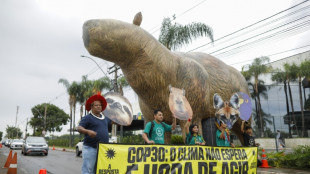 Antes de la COP30, Brasil y otros pa&iacute;ses acuerdan cuadruplicar los combustibles sostenibles