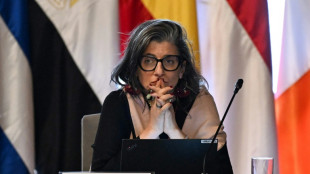 Relatora da ONU para os territ&oacute;rios palestinos diz que san&ccedil;&otilde;es dos EUA 'violam' sua imunidade