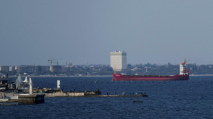 Bild, 'droni russi su nave cargo tedesca a Odessa, incendio a bordo'