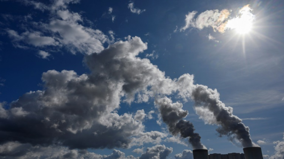 Dans l'est de l'Allemagne, la sortie du charbon donne du carburant &agrave; l'extr&ecirc;me droite