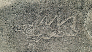 Le P&eacute;rou r&eacute;duit la c&eacute;l&egrave;bre r&eacute;serve de Nasca, inqui&eacute;tude des arch&eacute;ologues 