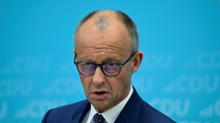 Merz zu Unabh&auml;ngigkeitstag: "Wir stehen fest an der Seite der Ukraine"