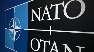 Nato: Nach Drohnen-Vorf&auml;llen in D&auml;nemark verst&auml;rkte Wachsamkeit und Mittelaufstockung