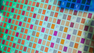 Stock markets surge on tech rally, US rate hopes