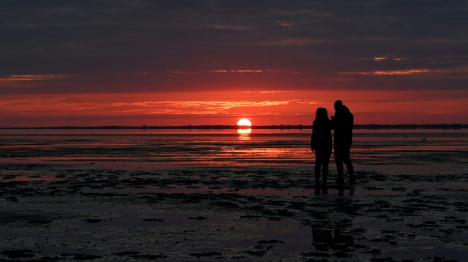Oberfläche von Nord- und Ostsee im Winter deutlich wärmer als üblich