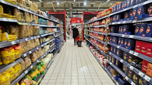 66 Packungen Parmesan: Ladendieb in Nordrhein-Westfalen festgenommen