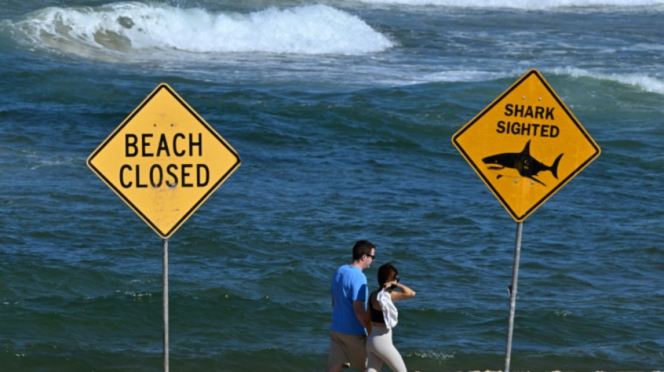 Australie: le surfeur probablement tu&eacute; par un grand requin blanc, selon des experts