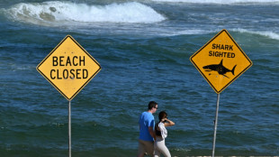 Australie: le surfeur probablement tu&eacute; par un grand requin blanc, selon des experts